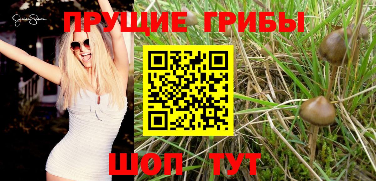 Отрадный  Псилоцибиновые грибы Magic Shrooms  Вход с VPN 
