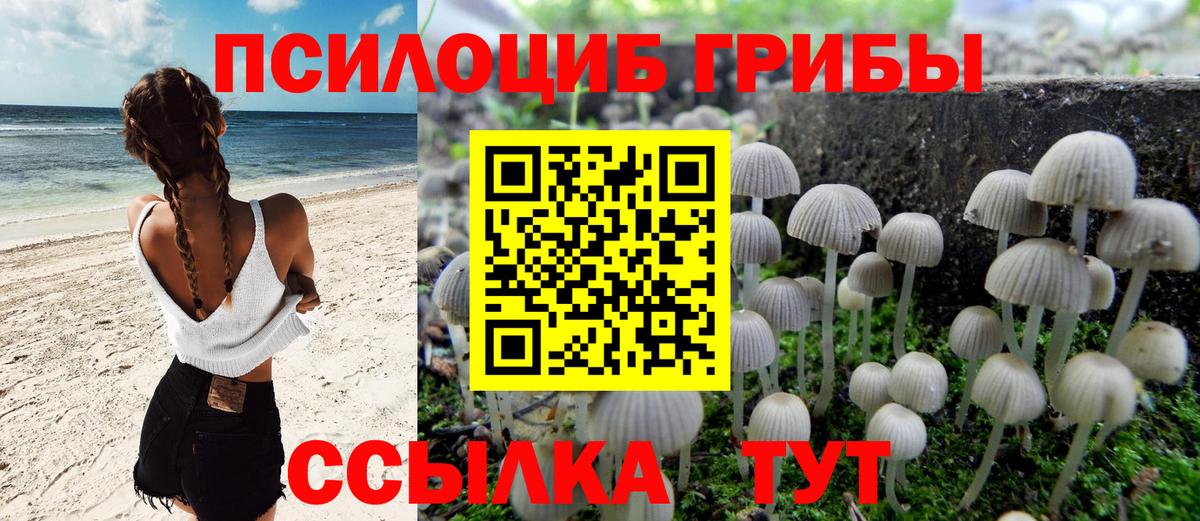 Галлюциногенные грибы мухоморы Отрадный